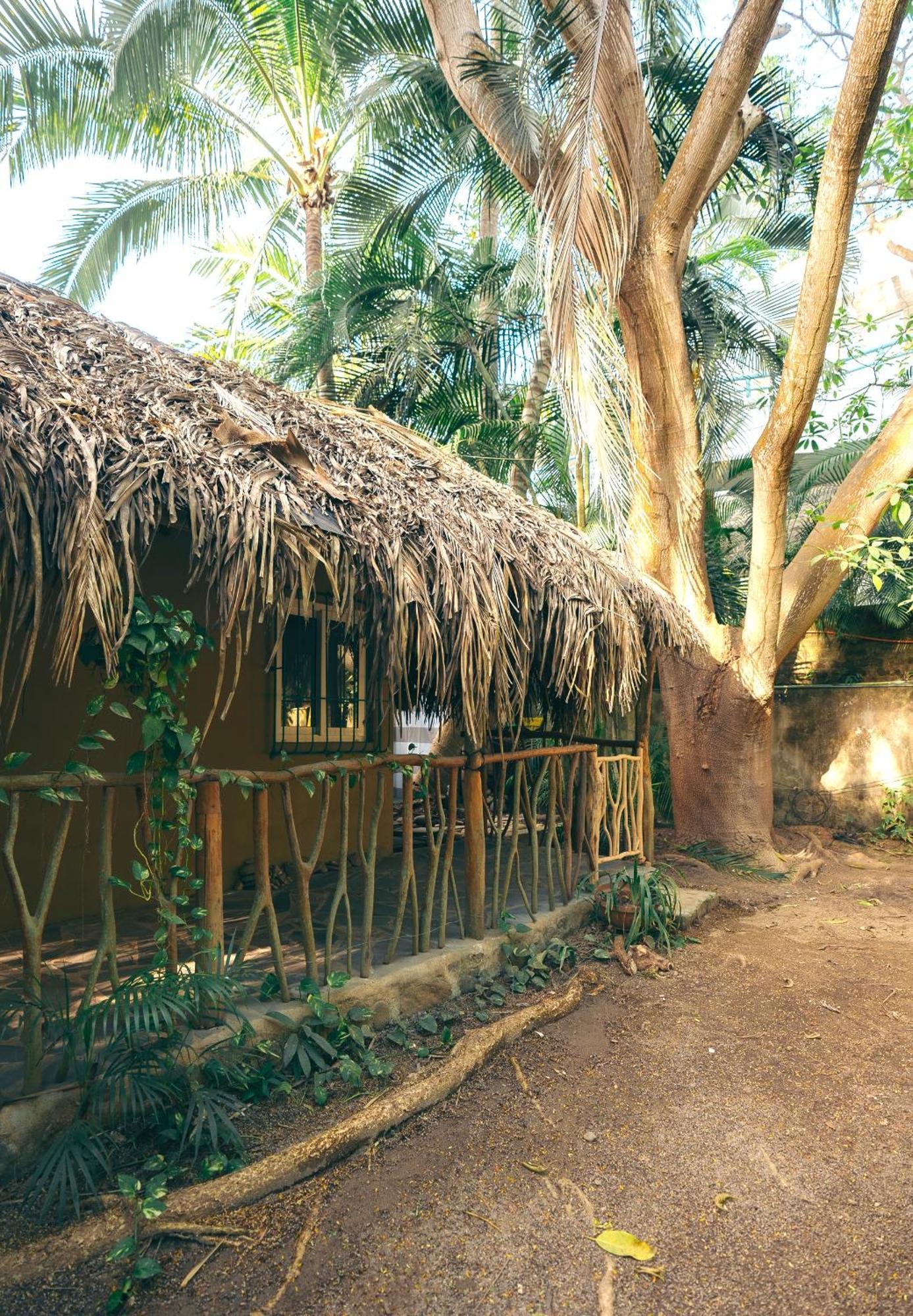Junto Al Rio Bungalows & Suites Саюлита Экстерьер фото
