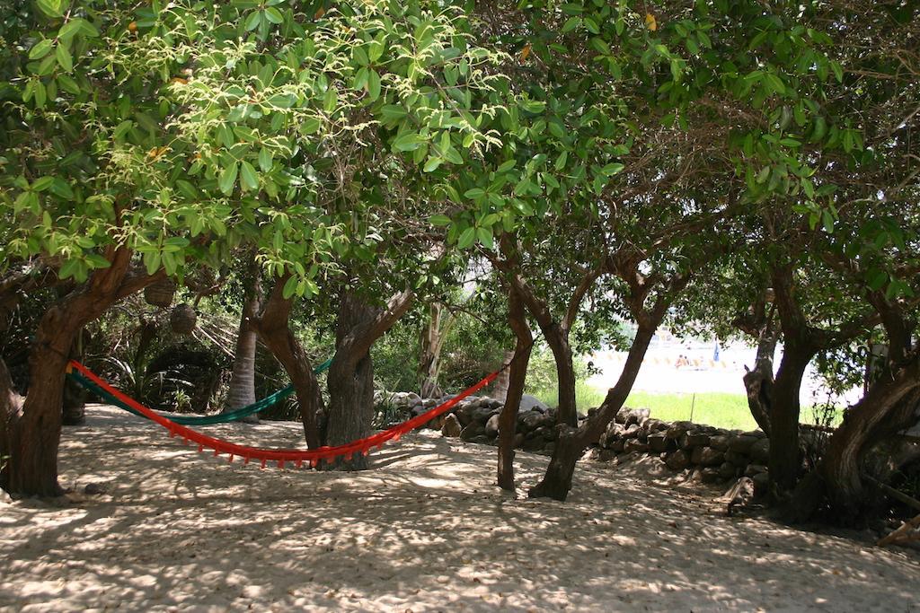 Junto Al Rio Bungalows & Suites Саюлита Экстерьер фото